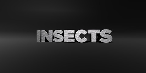 INSECTS - hammered metal finish text on black studio - 3D rendered royalty free stock photo. This image can be used for an online website banner ad or a print postcard.
