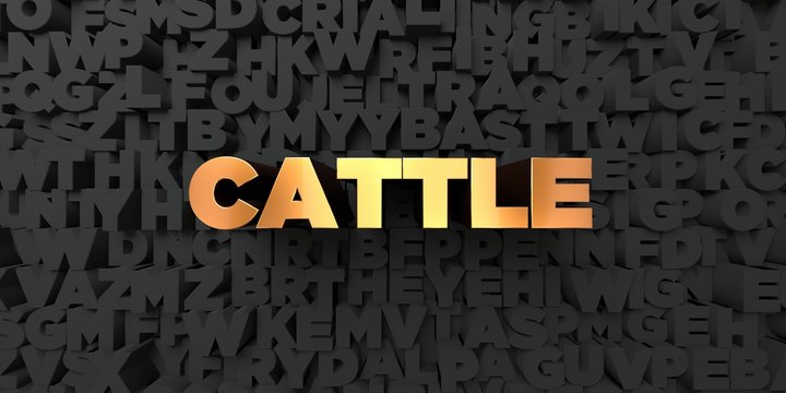 Cattle - Gold text on black background - 3D rendered royalty free stock picture. This image can be used for an online website banner ad or a print postcard.