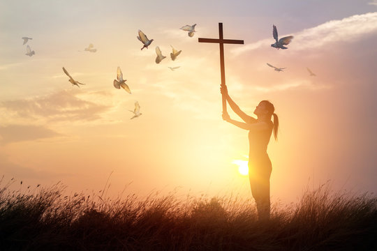Woman praying with cross and flying bird in nature sunset background