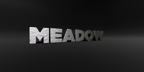 MEADOW - hammered metal finish text on black studio - 3D rendered royalty free stock photo. This image can be used for an online website banner ad or a print postcard.