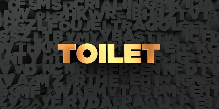 Toilet - Gold text on black background - 3D rendered royalty free stock picture. This image can be used for an online website banner ad or a print postcard.