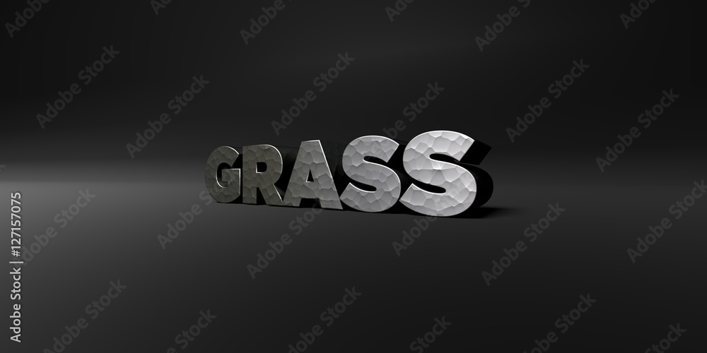 Fototapete grass - hammered metal finish text on black studio - 3d rendered royalty free stock photo. this imag