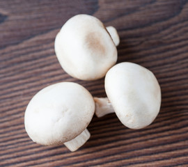 White mushrooms on wooden background