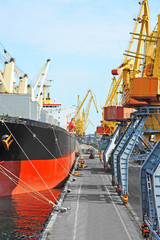 Bulk cargo ship under port crane