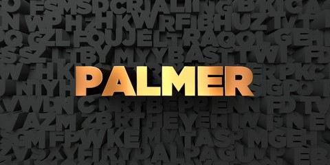 Palmer - Gold text on black background - 3D rendered royalty free stock picture. This image can be used for an online website banner ad or a print postcard.