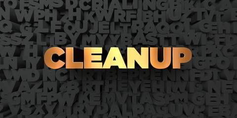 Cleanup - Gold text on black background - 3D rendered royalty free stock picture. This image can be used for an online website banner ad or a print postcard.