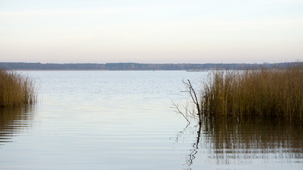 Blick auf einen See und Himmel durch einen Schilfguertel