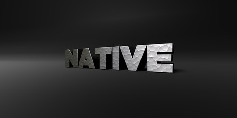 NATIVE - hammered metal finish text on black studio - 3D rendered royalty free stock photo. This image can be used for an online website banner ad or a print postcard.