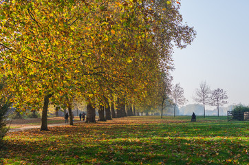 Naklejka premium Autumn at Hyde Park in London, England