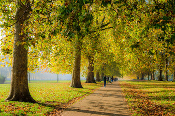 Autumn, Hyde Park, 2015