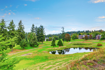 Picturesque man made pond in the back yard.