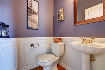 Fototapeta na wymiar White and purple powder room with toilet and washbasin stand.