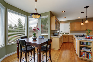 Dining table set with Tiffany style ceiling lamp