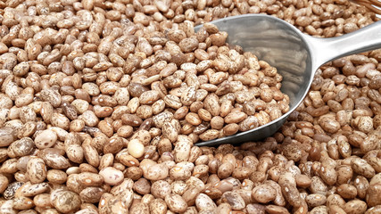 Pinto Beans and a Transfer Scoop