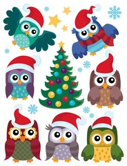 Christmas owls thematic set 1