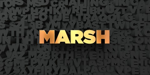 Marsh - Gold text on black background - 3D rendered royalty free stock picture. This image can be used for an online website banner ad or a print postcard.