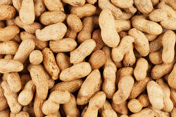 Background from a peanut