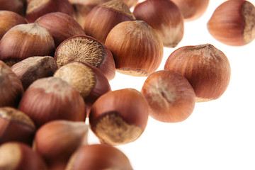 Hazelnut border on white background. Pile of selected hazel close-up. Isolated. For vegetarians.