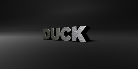 DUCK - hammered metal finish text on black studio - 3D rendered royalty free stock photo. This image can be used for an online website banner ad or a print postcard.