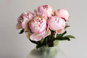 Washable wall murals Peonies Close up of pink peonies in glass vase against neutral background (selective focus)