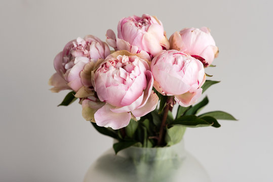 Fototapeta Close up of pink peonies in glass vase against neutral background (selective focus)