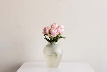 Fototapeta na wymiar Pink peonies in glass vase on white table against neutral background