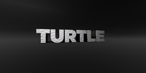 TURTLE - hammered metal finish text on black studio - 3D rendered royalty free stock photo. This image can be used for an online website banner ad or a print postcard.