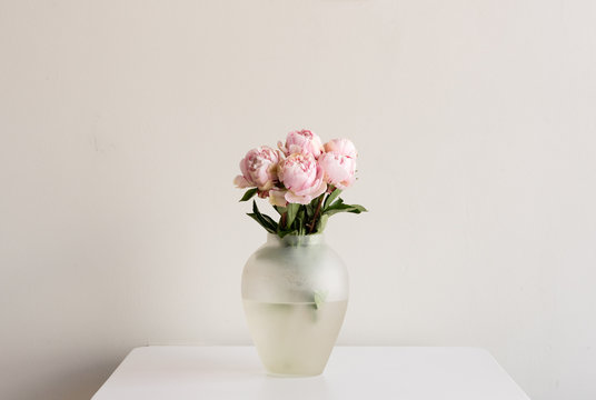 Fototapeta Pink peonies in glass vase on white table against neutral background