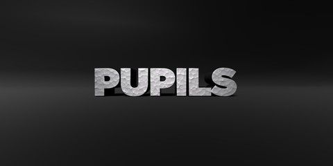 PUPILS - hammered metal finish text on black studio - 3D rendered royalty free stock photo. This image can be used for an online website banner ad or a print postcard.