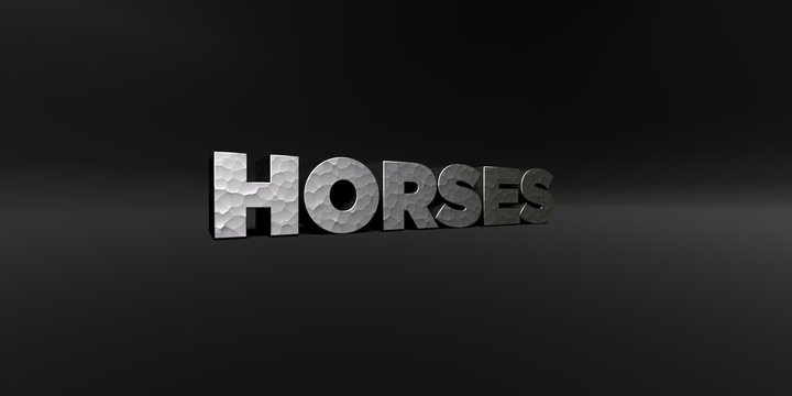 HORSES - hammered metal finish text on black studio - 3D rendered royalty free stock photo. This image can be used for an online website banner ad or a print postcard.
