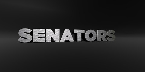 SENATORS - hammered metal finish text on black studio - 3D rendered royalty free stock photo. This image can be used for an online website banner ad or a print postcard.