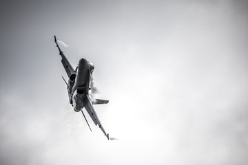 Fighter jet
