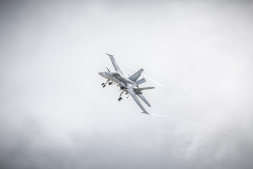 Fighter jet