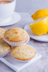 Aromatic Homemade Lemon and Poppy seed Muffins with cup of tea on the gray background. 