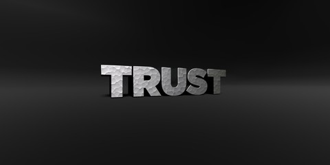 TRUST - hammered metal finish text on black studio - 3D rendered royalty free stock photo. This image can be used for an online website banner ad or a print postcard.