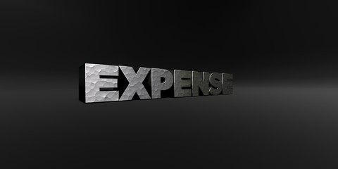 EXPENSE - hammered metal finish text on black studio - 3D rendered royalty free stock photo. This image can be used for an online website banner ad or a print postcard.