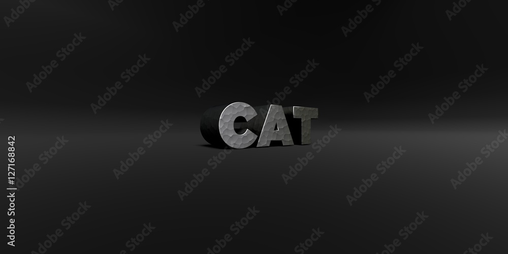 Fototapete cat - hammered metal finish text on black studio - 3d rendered royalty free stock photo. this image 
