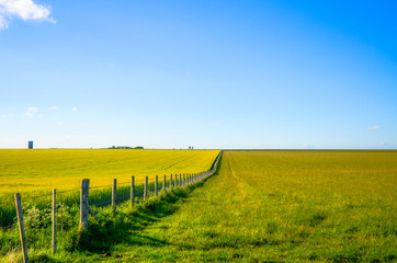 Fototapeta na wymiar A fence running into the horizon across english green pastures, Wiltshire, England