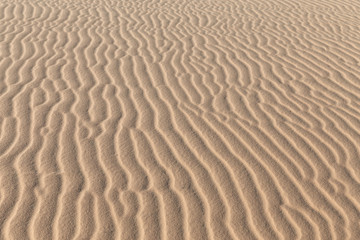 Fototapeta na wymiar Desert sand texture asia windy summer background