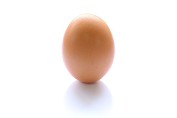 brown raw egg shell isolated