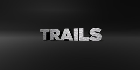 TRAILS - hammered metal finish text on black studio - 3D rendered royalty free stock photo. This image can be used for an online website banner ad or a print postcard.