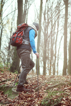 Man hiking in the autumn forest
