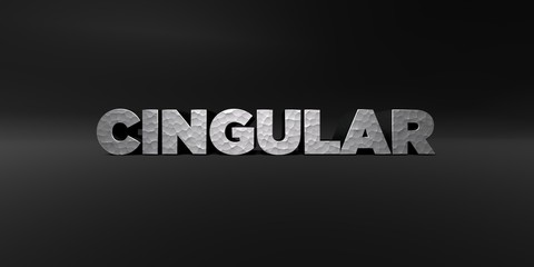 CINGULAR - hammered metal finish text on black studio - 3D rendered royalty free stock photo. This image can be used for an online website banner ad or a print postcard.