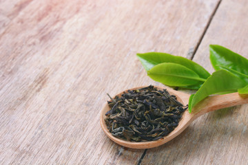 green tea leaf on wooden spoon with fresh tea leaves on the table.