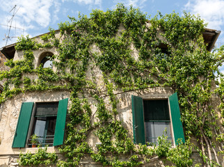  Old house covered by ivy in Sirmione on Garda Lake, Italy