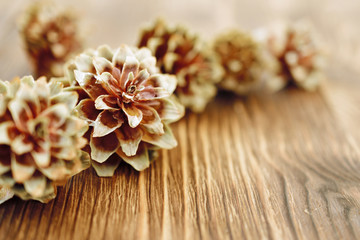 Several spruce cones on the wooden background.