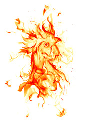 Fire rooster, symbol of 2017 on the Chinese calendar © -Misha