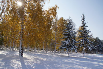 Autumn and winter met 