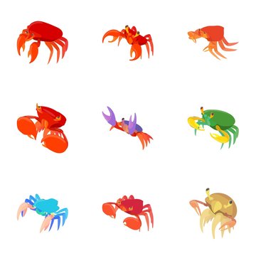 Crayfish icons set. Cartoon illustration of 9 crayfish vector icons for web