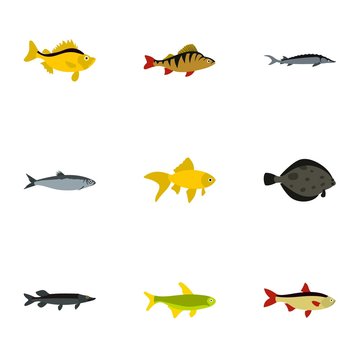 Species of fish icons set. Flat illustration of 9 species of fish vector icons for web